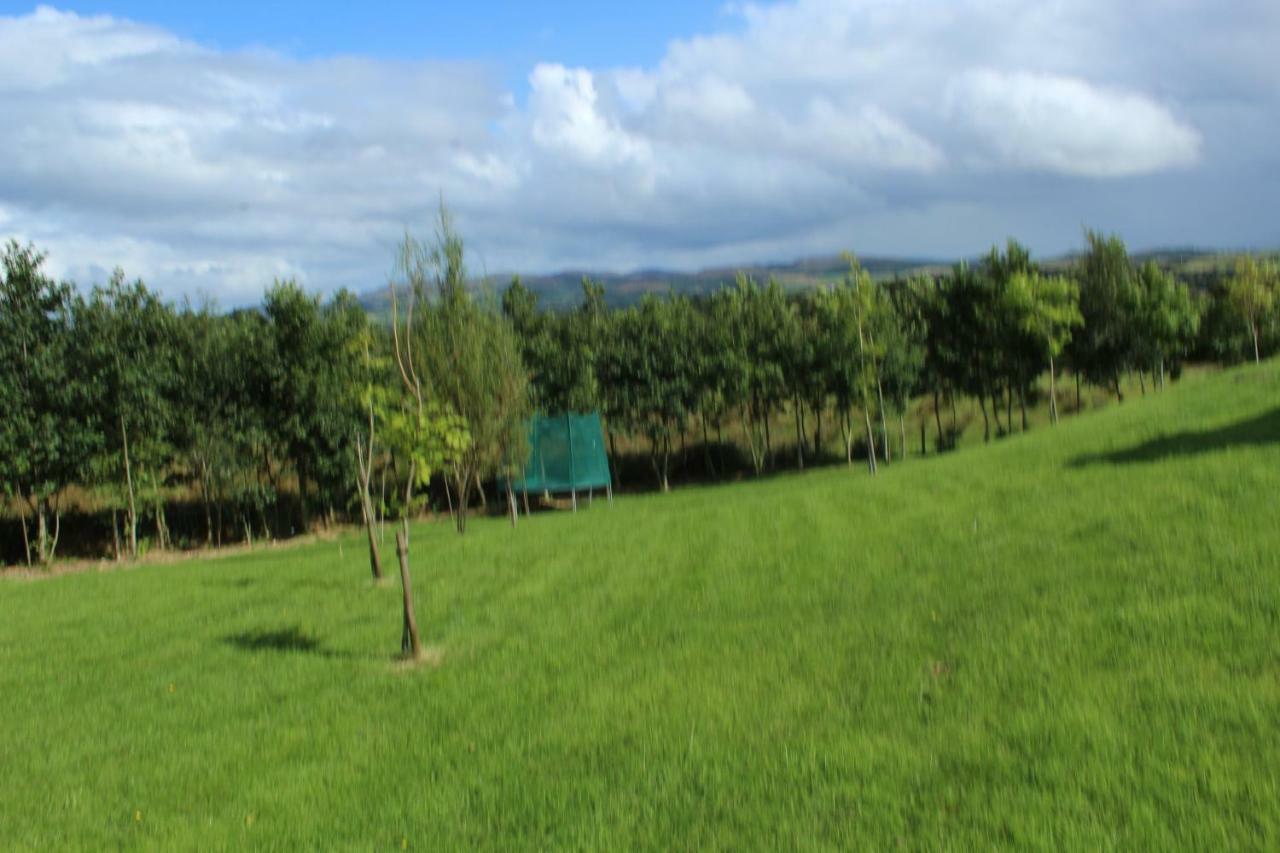 Bunlin Heights Self Catering Studio Milford Extérieur photo